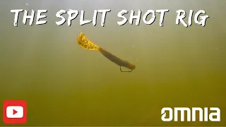 The Ultimate Guide to Split Shot Rig Bass Fishing: Underwater Edition!