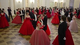 Кадриль Летучая мышь (Fledermaus quadrille)