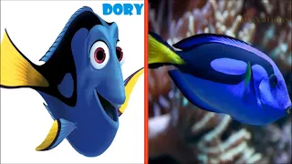 Finding Dory Characters In Real Life 2023