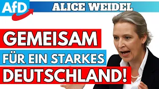 Alice Weidel AfD Live Rede in Marl