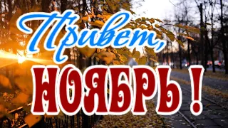 Счастливого ноября, друзья! Ноябрьский приветик!