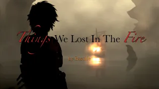 Things We Lost In The Fire - HTTYD amv