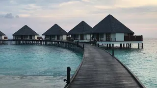 Adaaran Prestige Water Villas, Meedhupparu Maldives review. Water villa jacuzzi, best house reef