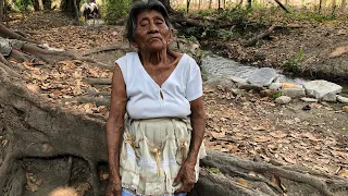 🔴 PRT#2 Abuelita de 90 años vive cerca de serpientes 🐍
