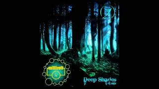 DJ Millivolt (Zenon Records) - Deep Shades [DJ Mix 2013]