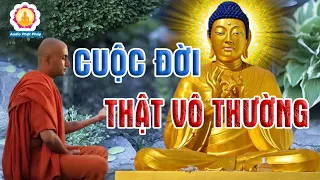 Sinh Lão Bệnh Tử - Cuộc Đời Thật Là Vô Thường_Những Lời Phật Dạy An Giấc Ngủ Ngon