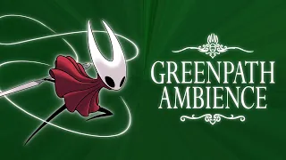 1 Hour of Greenpath Ambience For Sleeping (4K UHD)