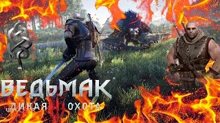 Лучший билд ✦для брони Школы Змеи✦ в Ведьмак 3 ► Для Новой Игры +