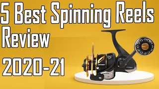 5 Best Spinning Reels Review 2021