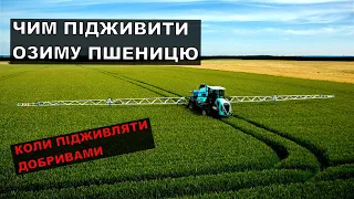 Чим підживити озиму пшеницю?Чим підживити озиму пшеницю?Азотні, калійні та фосфорні добрива.