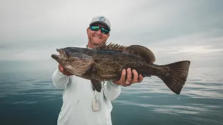 BlindCast - Crystal River - Shallow Water Grouper