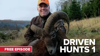 Driven Hunts | MyOutdoorTV | Free Episode