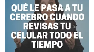 Qué le pasa a tu cerebro cuando revisas tu celular todo el tiempo (subtitulado)