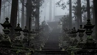 Дождь Возле Храма в Туманном Лесу | Звуки дождя и грома