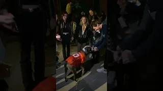 Hudson Gets Treats from New School Fans in NYC #fancam