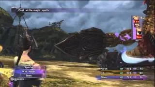 Final Fantasy X HD - P17, The Operation