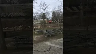 Canadian National railway train passing us near Potter Park zoo Lansing MI., excited kid included