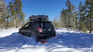 Lifted Forester XT -- Stuck in snow CVT disappointment