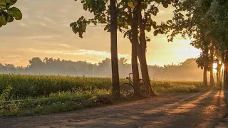 JALAN JALAN DI KAMPUNG 🌻🌻🌻🌻🌻🌻🌻🌻🌻🌻🌻