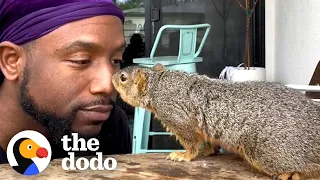 Guy Is The Best Friend A Squirrel Could Have | The Dodo