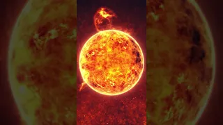 A star over 800 times larger than our Sun. (holy crap!) #shorts