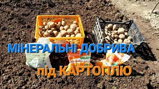 Мінеральні добрива при посадці Картоплі@Dacha_Sad_Gorod