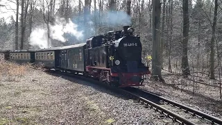 Rasender Roland / Abfahrt vom Haltepunkt Jagdschloss in Richtung Putbus am 09.04.2023 / Insel Rügen