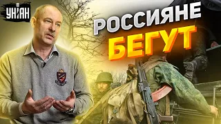 Жданов: россияне бегут из Луганщины, генералы осознали полный провал