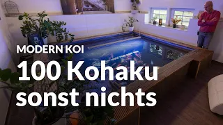 Was für ein geiler 27.000 Liter Innenteich | Modern Koi Blog #6507