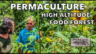 Sustainability & Farm to Table Show | #13 High Altitude Permaculture Food Forest