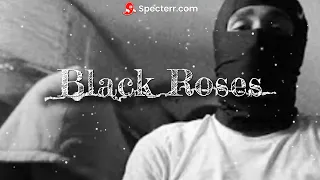 [Free] Leaf Ward x Meek Mill x Tsu Surf Type Beat " Black Roses " Prodby @polomacavelli