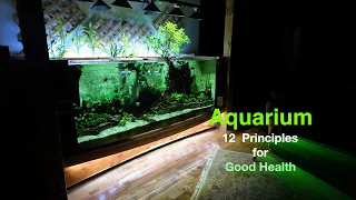 "Creative Ideas" for your aquarium, maintenance & new aqua culture tank setup.