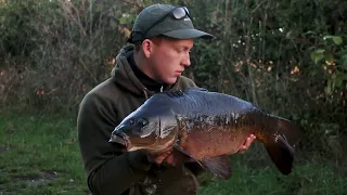 doggetts carp, essex carp lake