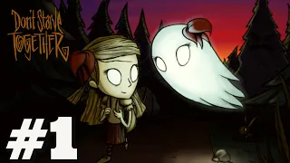 YENİ SERİMİZ BAŞLIYOR / Don't Starve Together 2023 - Bölüm 1