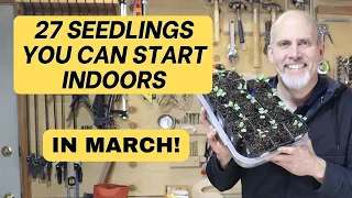 27 Seedlings You Can Start Indoors in March