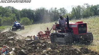 ARATURA IN COPPIA CON I CINGOLATI | NEW HOLLAND TK4050M + ANGELONI | MASSEY FERGUSON 194C + CORMA