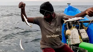 Deep Sea Fishing Videos