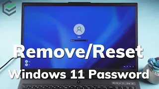 Remove Windows 11 Password | How to Remove & Reset Winodws 11 Password [No Data Loss]