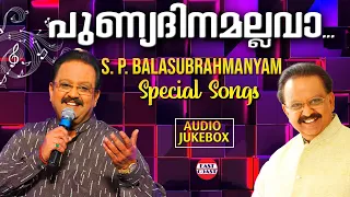 Punyadinamallava | AUDIO JUKEBOX | S P Balasubrahmanyam Special Songs