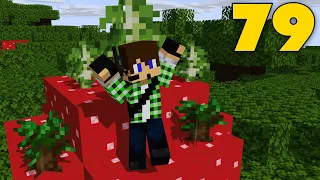 Minecraft ITA S6 E79