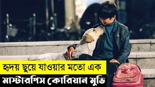 Hearty Paws Movie Explain In Bangla|Korean|Thriller|The World Of Keya