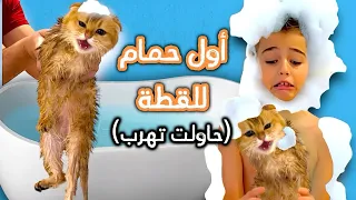 خلودة  حمم القطة (جولدي ) / هربت منا وصارت تخرمش😱