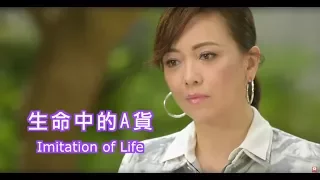 電視節目 TV1441生命中的“A貨” (HD粵語) (香港系列)