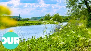 The Unseen Tranquility Of London's River Thames | Our World