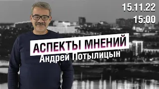 «Аспекты мнений» / Андрей Потылицын // 15.11.22