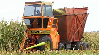 Mais Silage 2023 | Dronningborg D5500 self-propelled forage harvester Chopping Corn Silage