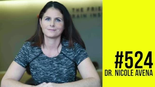 Episode 524: Dr. Nicole Avena- How Sugar Affects the Brain