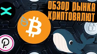 ОБЗОР РЫНКА КРИПТОВАЛЮТ, КИТЫ ОТКУПАЮТ БИТКОИН?! СТОИТ ЛИ ПОКУПАТЬ SUI ГЕМ ИЛИ СКАМ???