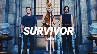 Survivor •| 2wei • Sub Español