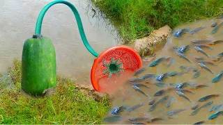 Build Fish Trapping System Make From Long PVC Pipe & Papaya Catch A lot of Fishes And Eels